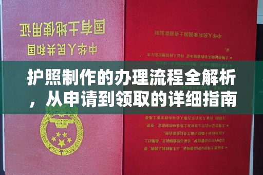 沙雅护照制作的办理流程全解析，从申请到领取的详细指南